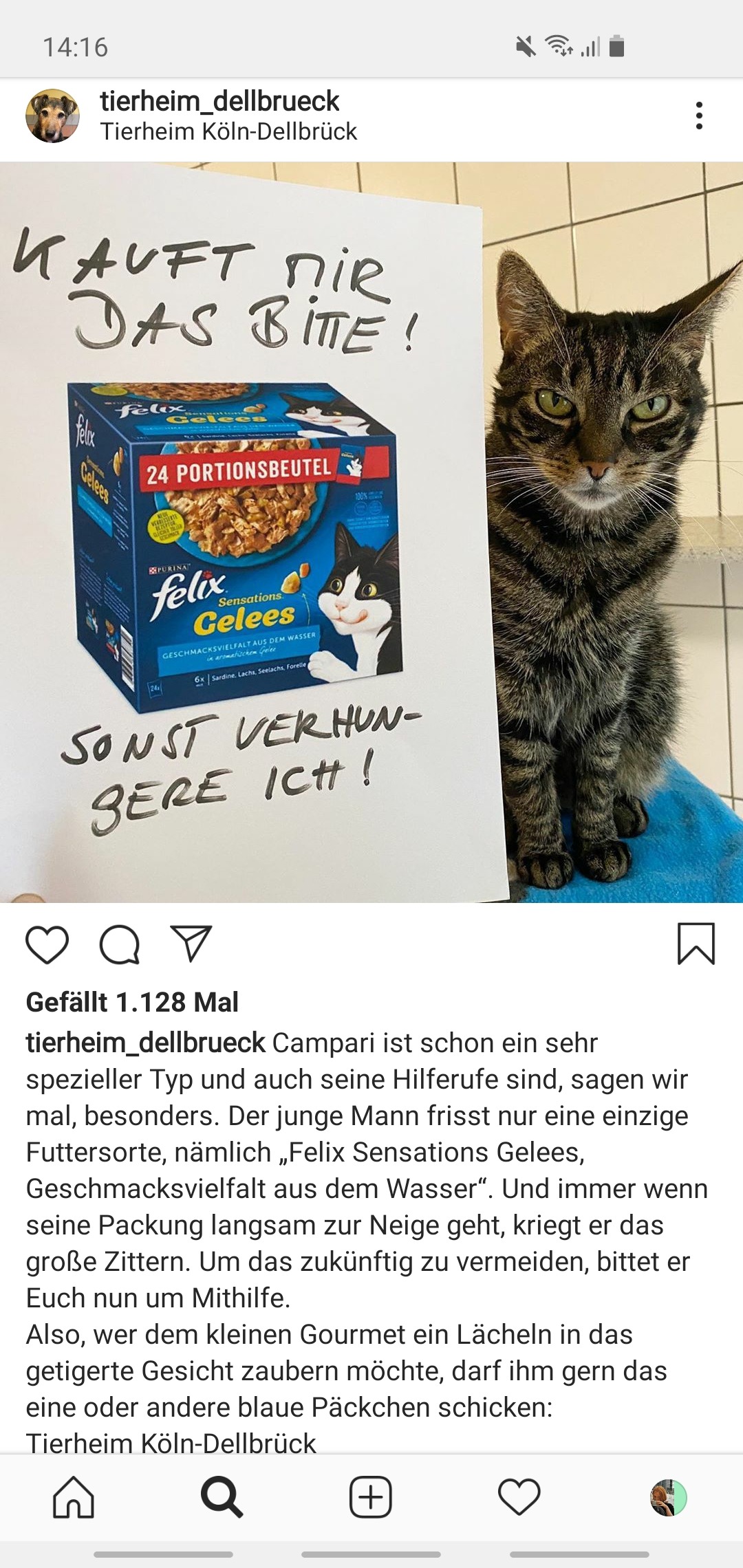 Das Foto zeigt einen Instagram-Post vom Tierheim Köln-Dellbrück. Zu sehen ist eine Katze und daneben ein Blatt mit der Abbildung von Katzenfutter und der Aufschrift "Kauft mir das bitte! Sonst verhungere ich."